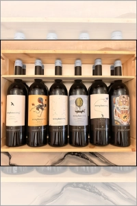 Domenico Clerico, Barolo, 2017 - Aeroplanservaj Collectors Case